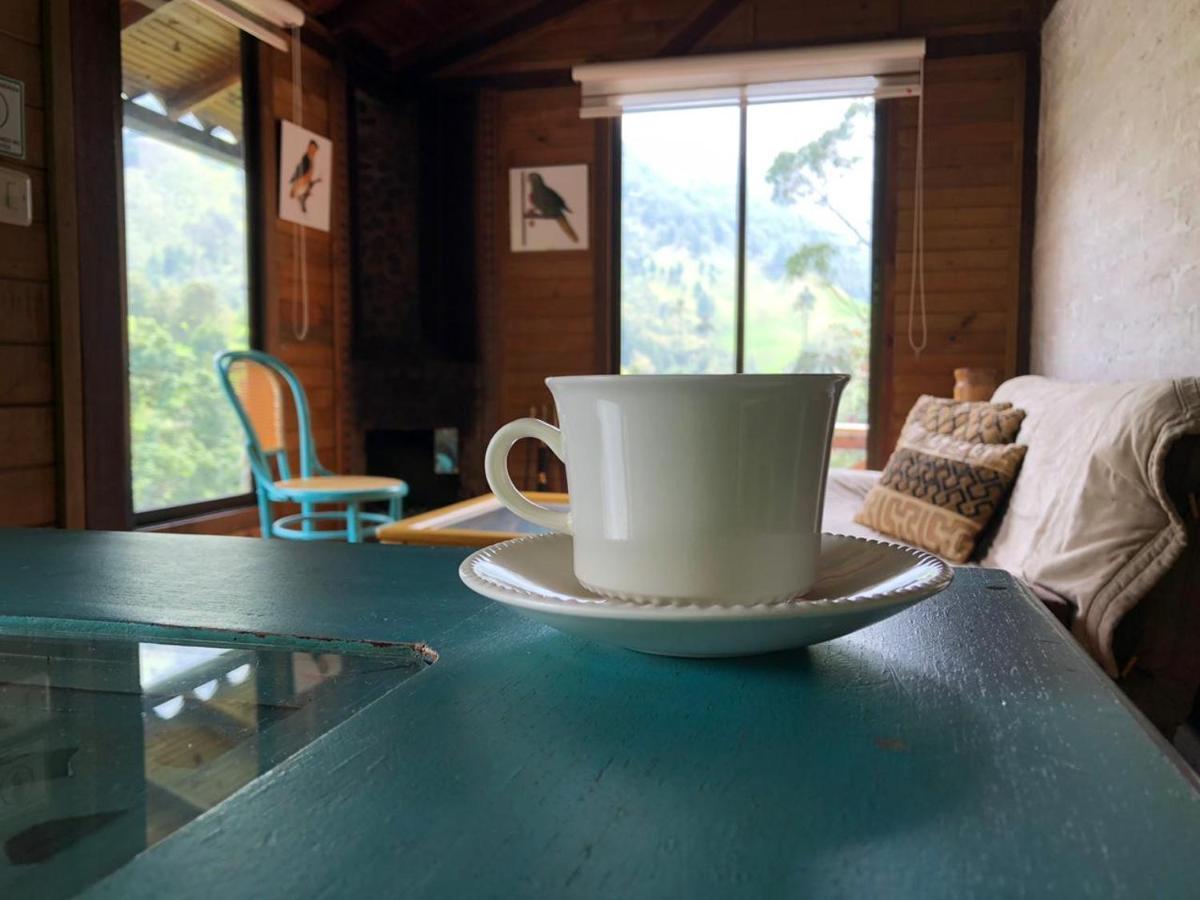 Cabanas Valle Del Cocora La Truchera Salento Exterior foto